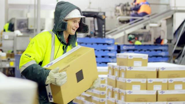 Is Working in Cold Storage Bad for Your